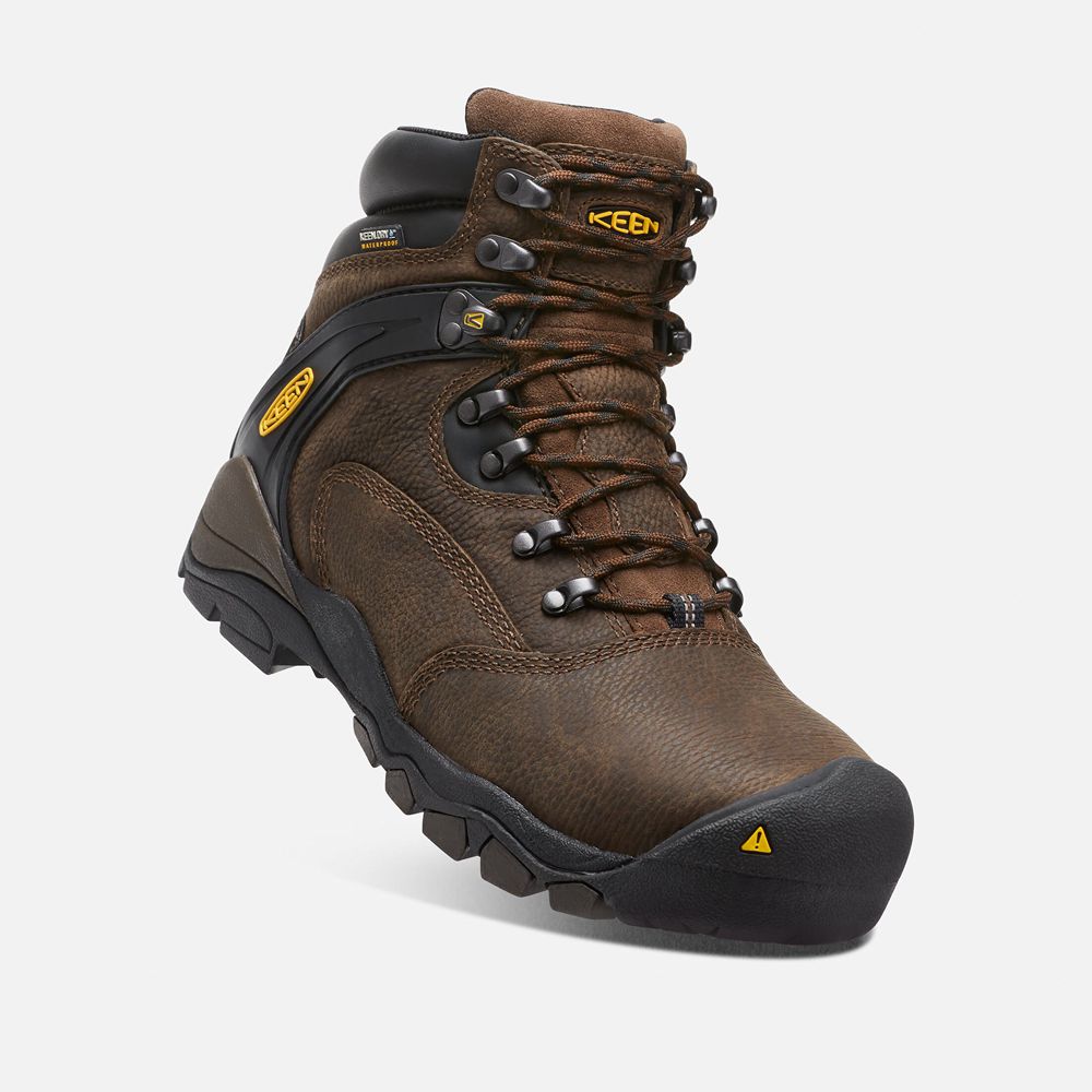 Botas de Trabajo Keen Mexico Marrom - Hombre Louisville 6\" (Steel Toe) - ZI6258704